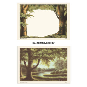 Ark 03-04 Dansk sommerskov