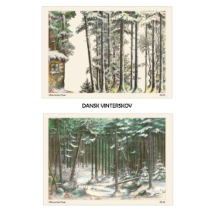 Ark 05-06 Dansk Vinterskov