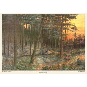 Ark 032 Bagtæppe til Skov